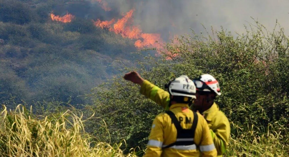 Durante la jornada del sábado, el Gobierno de Córdoba confirmó que tres incendios forestales fueron contenidos en otras zonas de la provincia, aunque el de la Quebrada sigue activo.