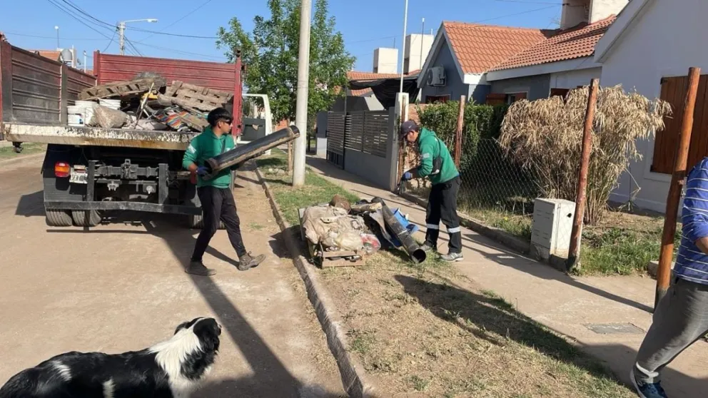 Inician el lunes una campaña de descacharrado que abarca a toda la ciudad. 