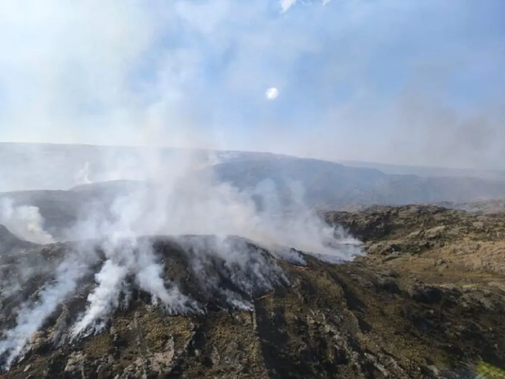 El incendio de Quebrada del Condorito amenaza su biodiversidad única y la anidación del cóndor andino. (Foto: APN/La Voz)