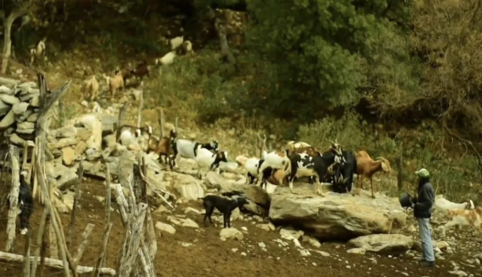 
El cortometraje “HIDALGO, rastreador de yuyos, pastor de lejanías”, dirigido por Wilfredo Koehler y Guillermo Cichello, fue filmado íntegramente en nuestras sierras de los Comechingones
