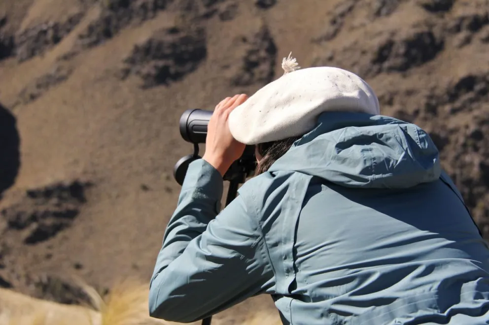 Los equipos emplearon planillas digitales a través de la app Survey 123, registrando en intervalos de cinco minutos variables como cantidad, edad y sexo de los cóndores, además de condiciones climáticas.