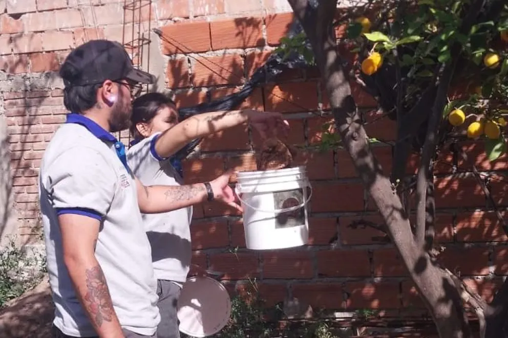 Liberaron más de 2 millones de machos estériles de mosca de los frutos en San Luis