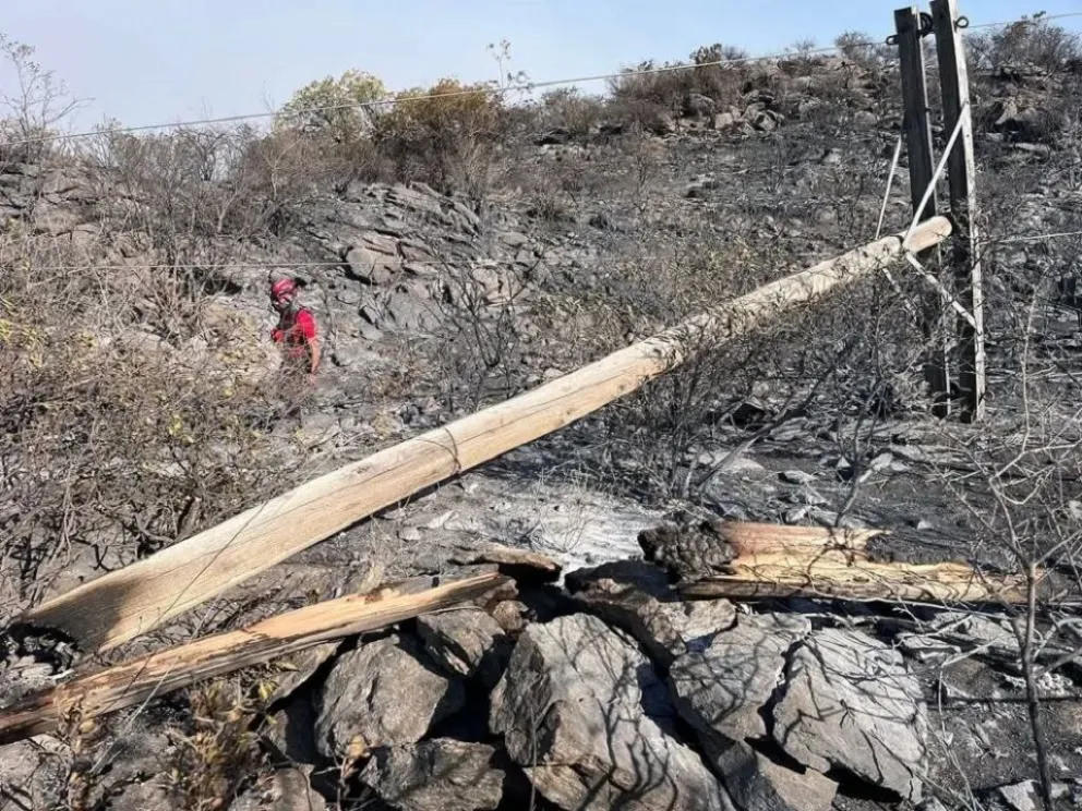 Los incendios devastaron una amplia superficie de vegetación autóctona y campos productivos. 
