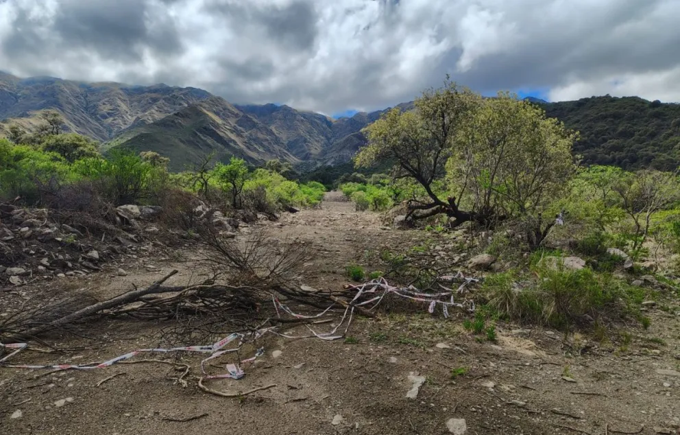Desde el área ambiental se exigió la presentación de un plan específico para evaluar el impacto, identificar las especies nativas presentes y establecer medidas de compensación. 
