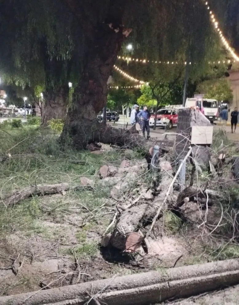 La mujer sufrió golpes en la cabeza y en una pierna. 