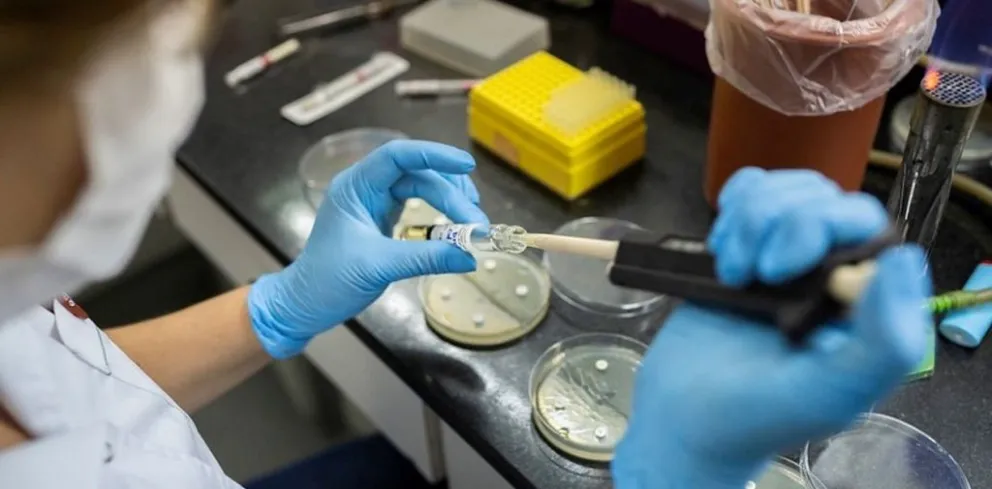 Se registraron nuevos casos de Gripe H3N2 en Argentina.