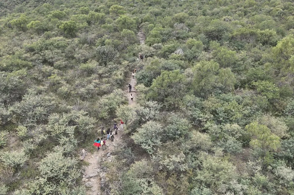 Las nuevas hectáreas se suman a las 44 mil ya existentes, haciendo un total de 91.600 hectáreas. (Gentileza Aves Argentinas)