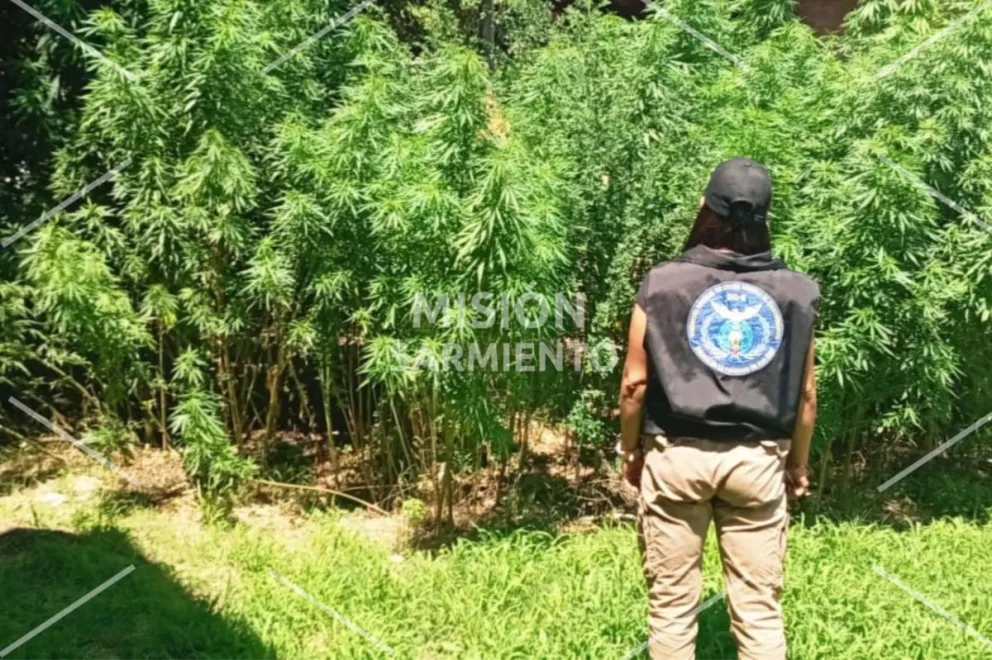 Operativo antidroga en Villa de Merlo