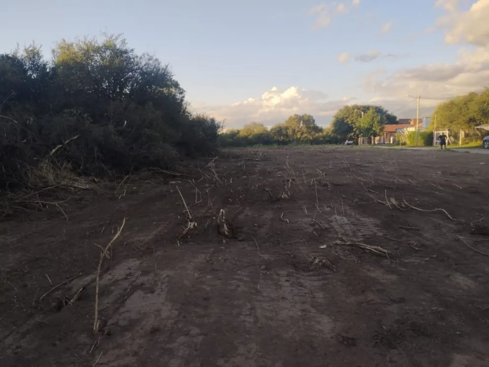 Queja por el desmonte en el barrio Los Troncos.