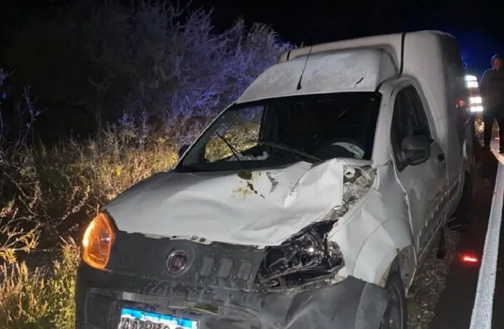 Chocó contra una vaca en plena ruta y salió ileso.