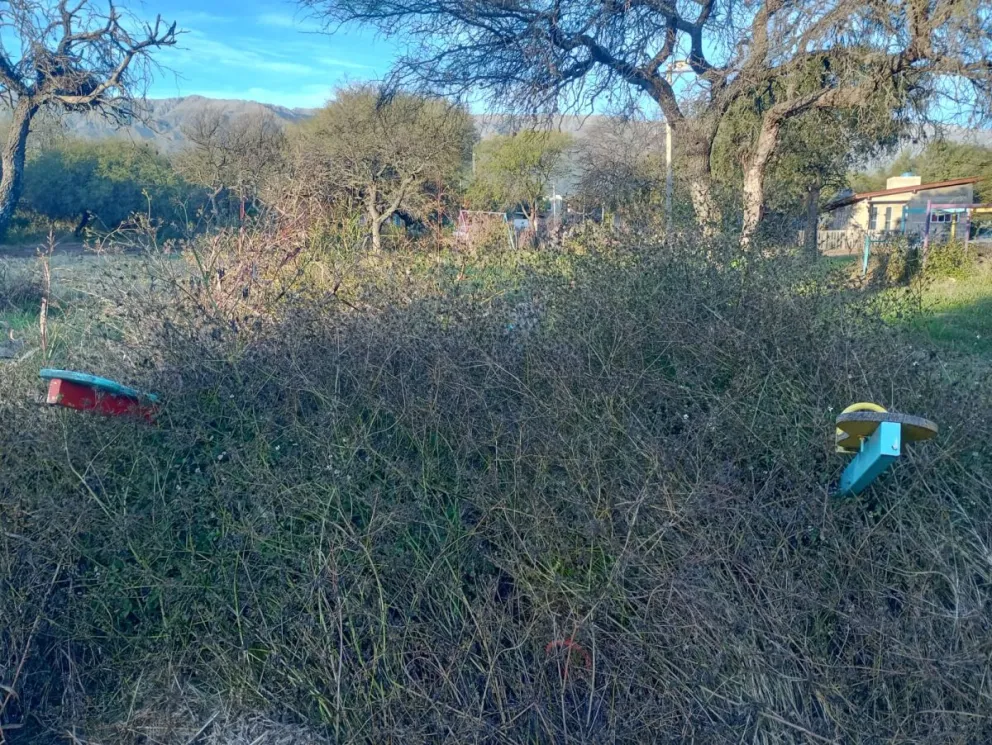 Entre los yuyales los juegos para niños en el barrio Los Algarrobos.