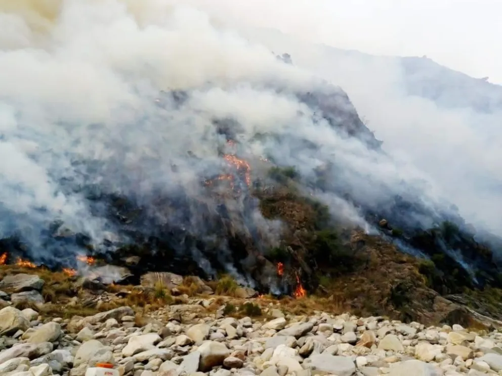 Mientras combaten el foco para que no se propague, los bomberos investigan el inicio del fuego.