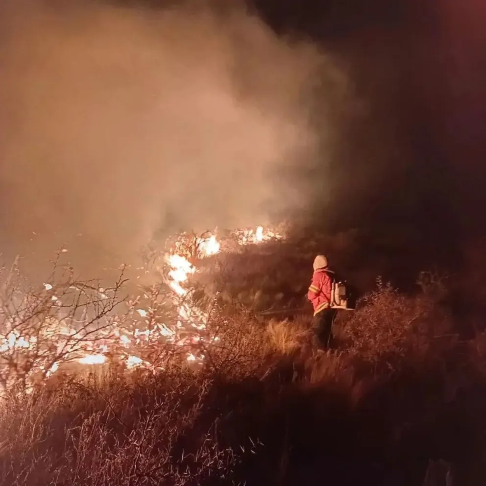 El fuego se inició durante la noche y demandó varias horas de trabajo. Recién alrededor de las 5:00 de este domingo las dotaciones lograron controlar el foco.