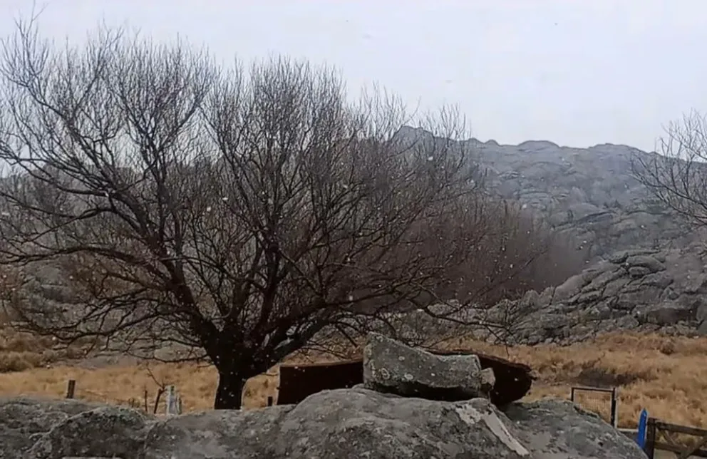 Desde el refugio de montaña Herencia Serrana de Calamuchita, ubicado en el Cerro Champaquí, registraron el comienzo de la nevada. (Foto: El Doce TV)