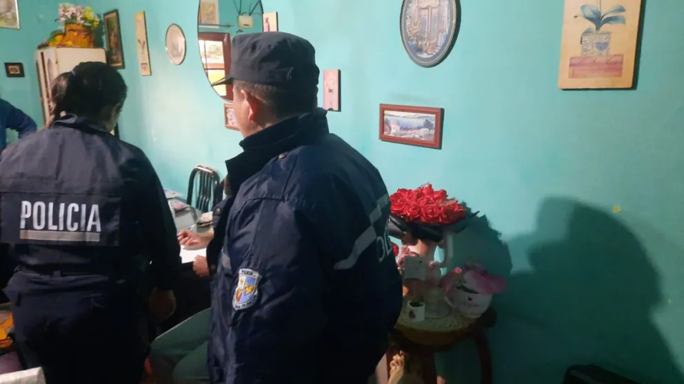 Operativo en una casa de Concarán tras el hurto de una maceta ubicada como decoración en el exterior de un negocio en Villa de Merlo. La autora del hecho la cargó y se la llevo a su casa en pleno día. Intervino de oficio la comisaria 42.