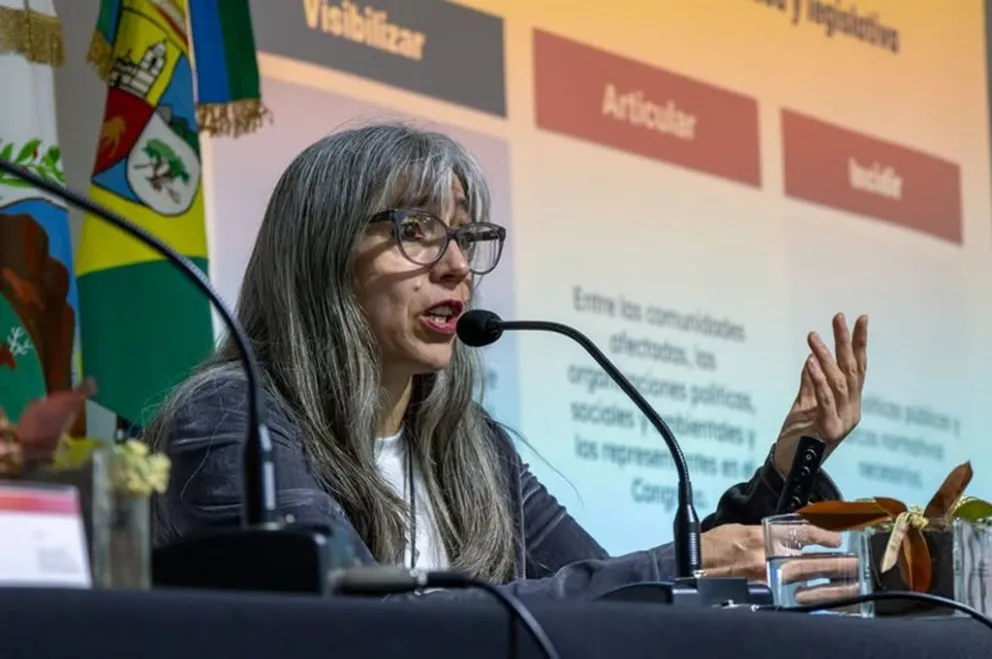 La diputada nacional, Adriana Serquis, expuso en el II Congreso Internacional de Prevención de Incendios de Interfase.